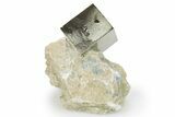 Shiny Natural Pyrite Cube in Rock - Navajun, Spain - Photo 2